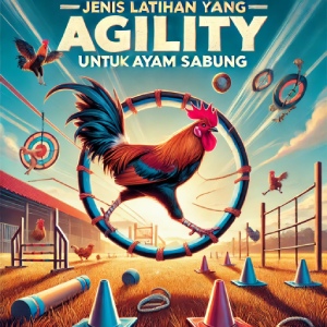 Jenis Latihan Agility yang Efektif untuk Ayam Sabung